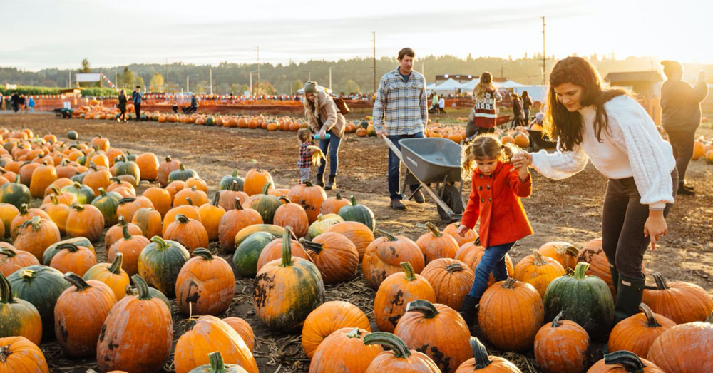 Halloween Events and Pumpkin Patches to Open This Weekend 96.1 BBB